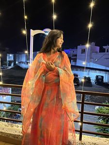 Multicolor Organza Suit