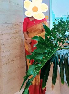 Gorgeous Pink & Yellow Saree