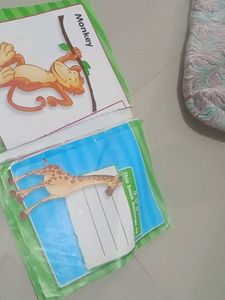 COMBO*2  BOOKS *FLASH CARDS *
