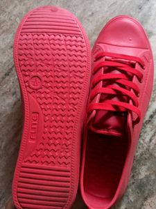Boys Shoes Or Mens Shoe