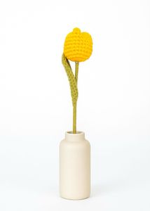 Yellow Tulip