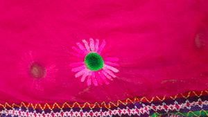 Navratri Chaniya Choli