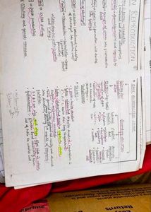 Neet Test Papers And Notes