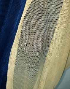 Elegant Blue &amp; Golden Gown