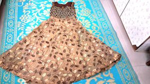Brown   Skin Color  Organza  Dress.