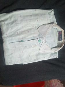 Printed Light Green Shirt