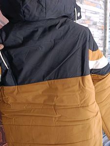 Striped and Solid Padded Winter Jacket