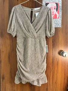 LOFT Ruched V-Neck Dress