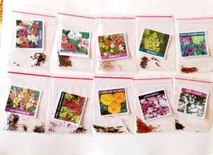 Real Flowers Seed