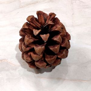 1 Pc Pine Cone Decorative
