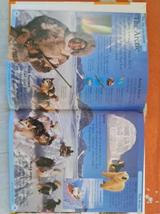 First Reference Book Set