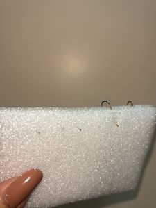 Combo Of Earrings