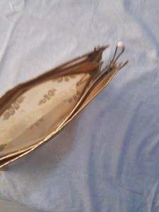 Plastic Golden Pouch