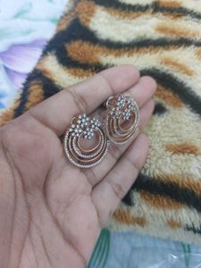 Elegant Circle Earrings