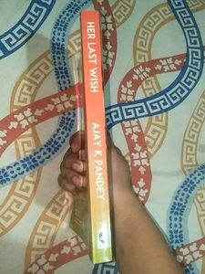 Novel