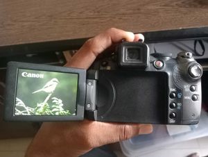 Canon Powershot S5IS