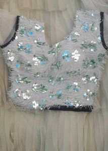 Beautiful Crop Top Choli