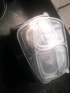 Disposable Container