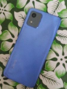 iPhone 6s - Vivo Combo