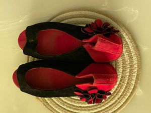 Charming Black &amp; Red Flower Shoes