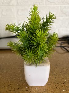 3 Artificial Plants