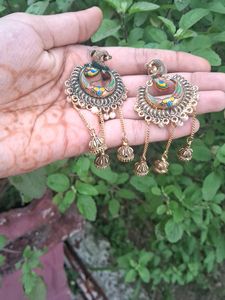 Earrings