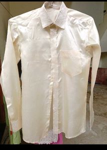 Brand New Silk Shirt