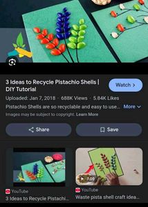 Pistachios Shells 1kg