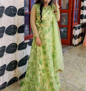 Beautiful Green Lehnga Type Gown Crop Top
