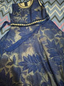 Elegant Blue Girls Dress