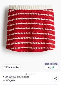 H&amp;M Skirt With Tag