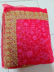 Beautiful Dulhan Saree