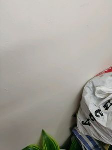 Adidas Xxl Track Pant
