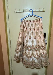 Elegant Embellished Choli
