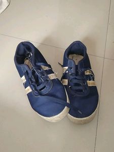 Blue Canvas Shoes