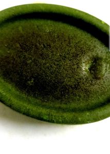 Pure Herbals Soap .Rs 40 Off On Shipping
