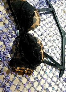 Animalier Aimerfeel