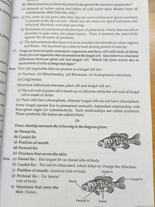 Sample Paper Class 9