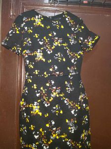 Women Imported Pants And Dress Free