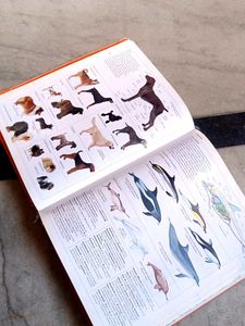 OXFORD Dictionary (ILLUSTRATED VERSION)