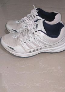 ASIAN Wonder-11 Running Shoes,Training Shoes,Gym Shoes,Sports Shoes for Men… Size 7.8 Available Buy Now Cheapest Coins 🥰