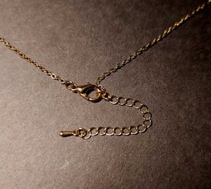 ✨ Circle of Charm Necklace ✨