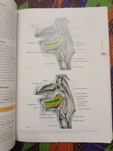 Anatomy Textbook