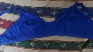 Blue Wire-Free Bra Size 38C