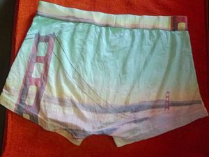 Levi&#39;s Printed Briefs