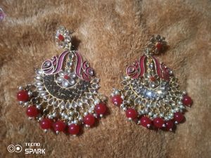 Beautiful Earings