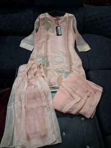 Elegant Embroidered Kurta Set