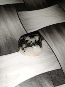 Dalmatian Jasper Stone