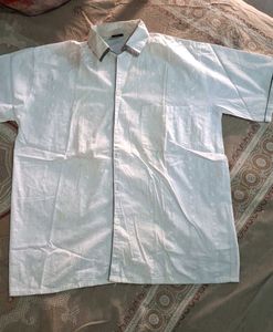 White Chicken Work Half Sleeves Shirt
