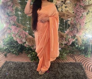 Beautiful Peach Saree with Feather Detail